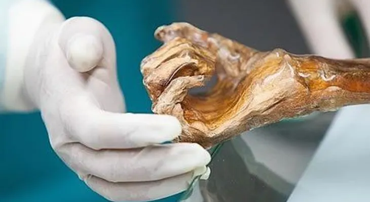 La línea genética materna de la momia Ötzi está extinguida, según un estudio
