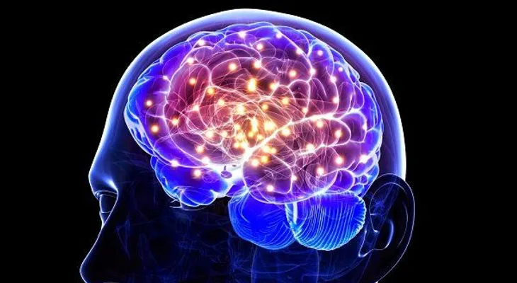 9 hábitos que apoyan la regeneración de células cerebrales