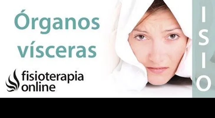 ¿Qué emociones alteran o enferman cada órgano y víscera? 