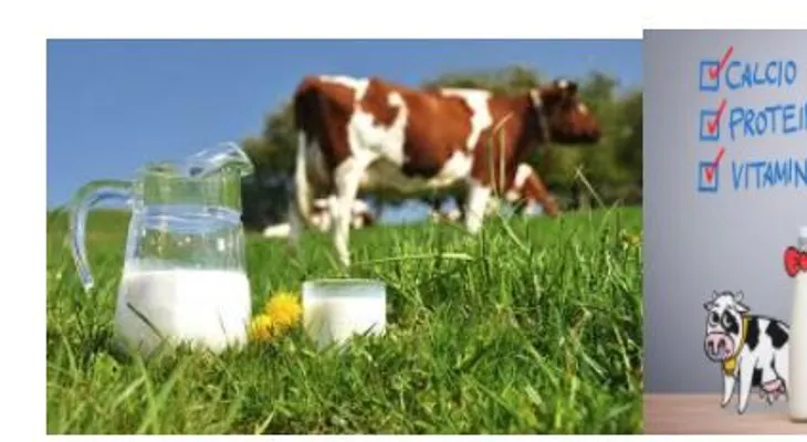 Calcio, proteína y vitamina: La leche de vaca ayuda a los niños a ser más altos