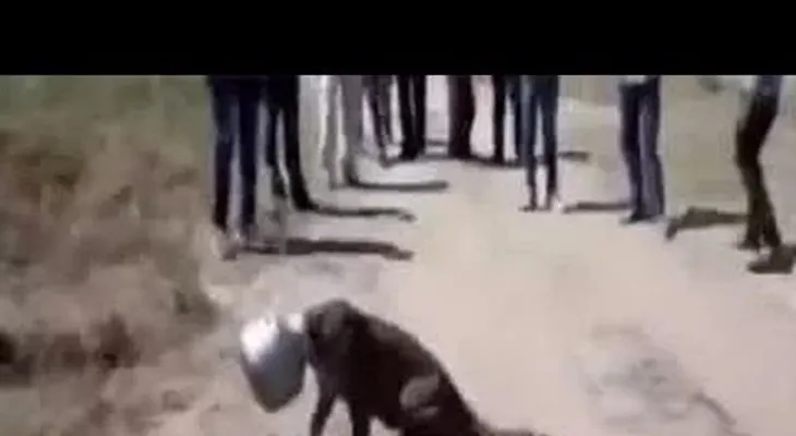 Leopardo pretendía beber agua se mete en un gran problema 