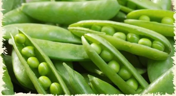 Las arvejas y su valor curativo: Es uno de los alimentos más completo del MUNDO
