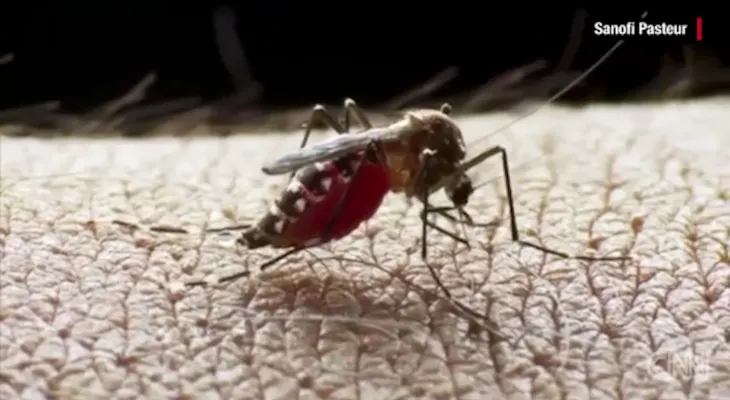 5 cosas que debes saber sobre el virus de Zika