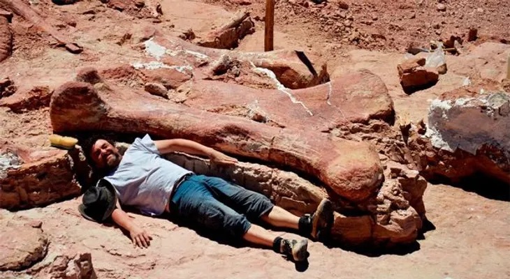 Video: Hallan en Argentina el dinosaurio más grande del mundo 