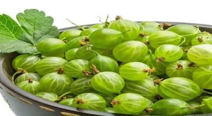 Conoce la fruta efectiva para la diabetes y que mata el 98 por ciento de las células cancerígenas