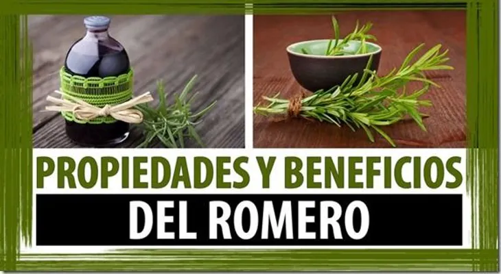 Cuando descubras todo lo que hace esta maravillosa planta jamas dejaras de usarla