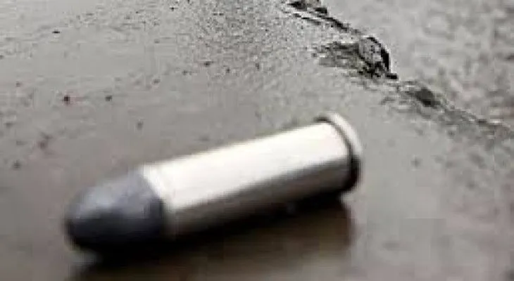 Patrulla policial mata a dos presuntos delincuentes en Boca Chica