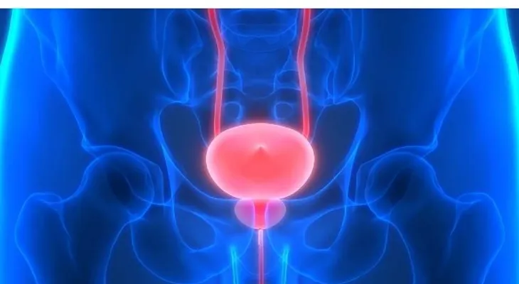 Descubren "arma secreta" contra cáncer próstata