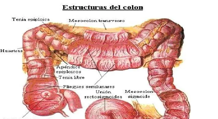 Video: Beneficios de la limpieza de colon
