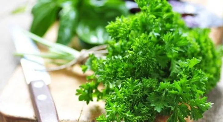 8 increíbles beneficios del perejil para la salud