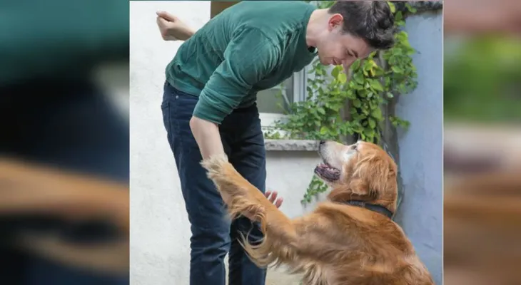Crean aplicación que te ayuda a 'hablar' con tu perro