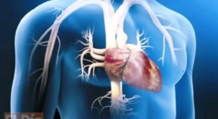 Anuncian nueva forma de abordar el riesgo cardiovascular