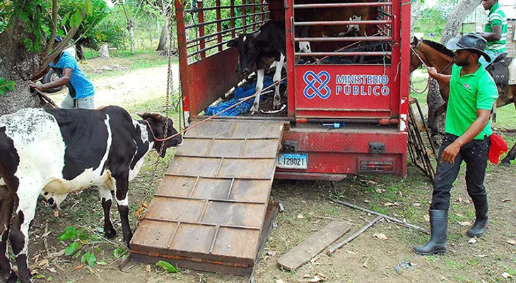 ADN busca lugar para reubicar albergue animales que afectaría moradores Mirador Sur