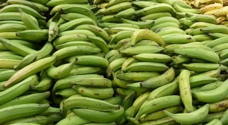 Agricultura asegura veda de Haití a 33 productos de RD es un rumor