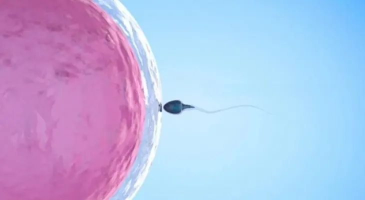 Médico inseminó 49 mujeres con su propio esperma sin que lo supieran