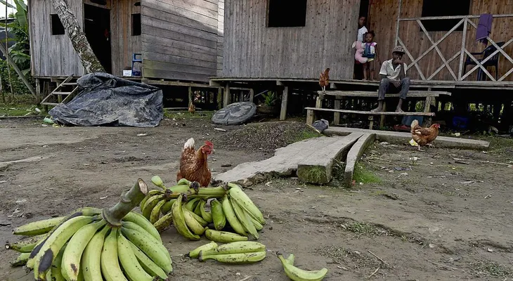 Denuncian desplazamiento masivo en el Chocó por parte de grupos paramilitares