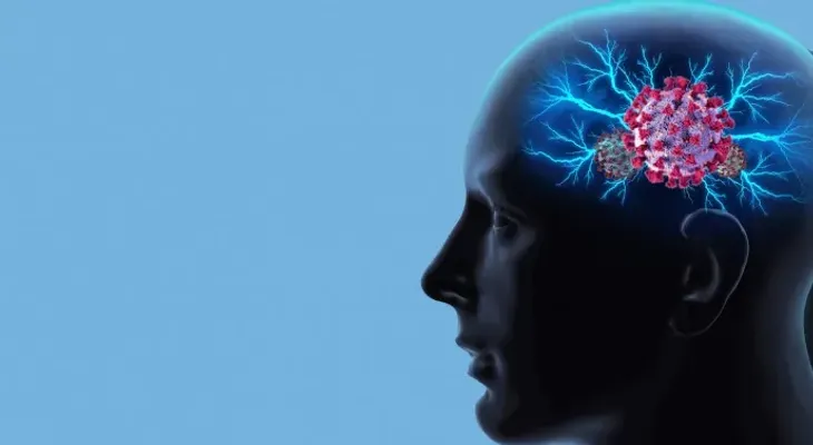 Un estudio revela un posible vínculo entre el hígado y el alzheimer. La proteína beta-amiloide (A-beta)