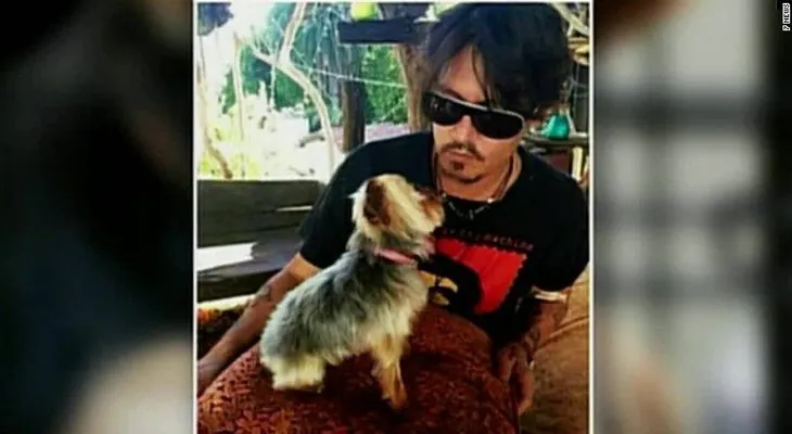 Johnny Depp pide perdón por incidente de contrabando de perros
