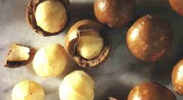 La Macadamia, real reina de las nueces