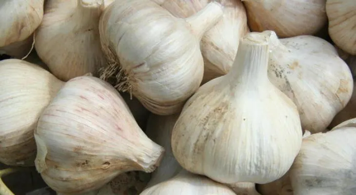 Toma nota: Los 7 auténticos superalimentos 