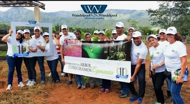 Despacho Legal celebra 11 años con jornada de reforestación
