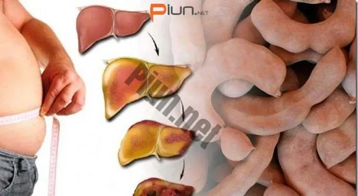 8 Síntomas de problemas en el hígado y cómo puedes curarlo con una sola fruta