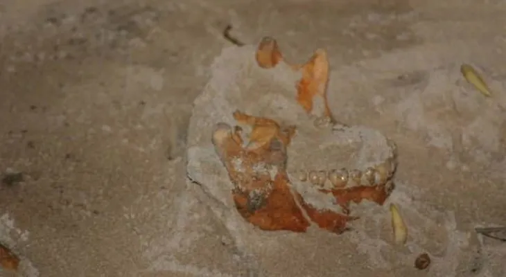 Logran el primer genoma íntegro de un habitante primitivo del Caribe