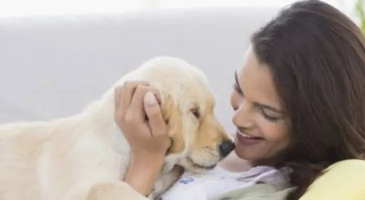 Estos son los beneficios de esterilizar a nuestras mascotas