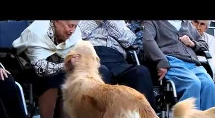 Terapias con perros para personas con Alzheimer (VIDEO)