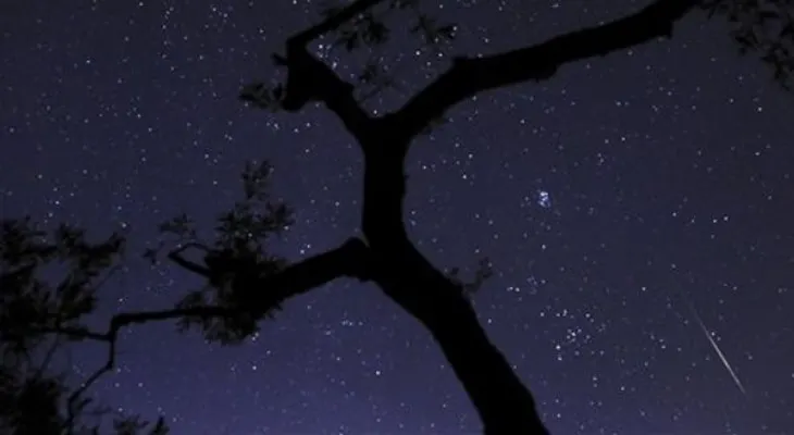 Lluvia de meteoros será visible desde Chicago