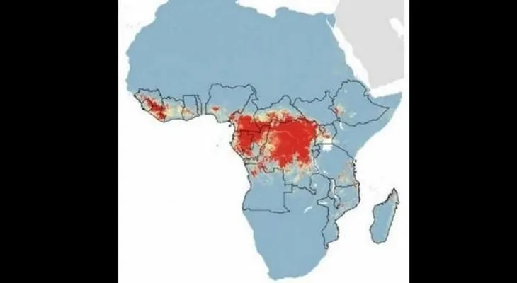 Ebola y Continente Africano