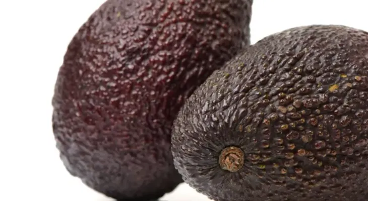 Cáscaras de palta: usos prácticos y sostenibles en el hogar