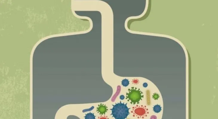 Qué debes comer si quieres mejorar tu salud a través de tu estómago