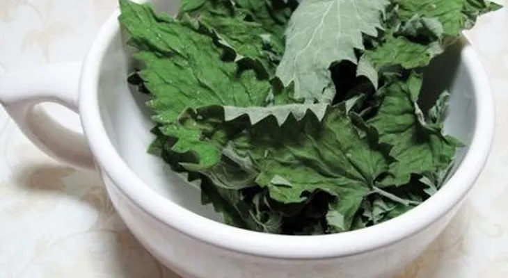Crecimiento del cabello con menta
