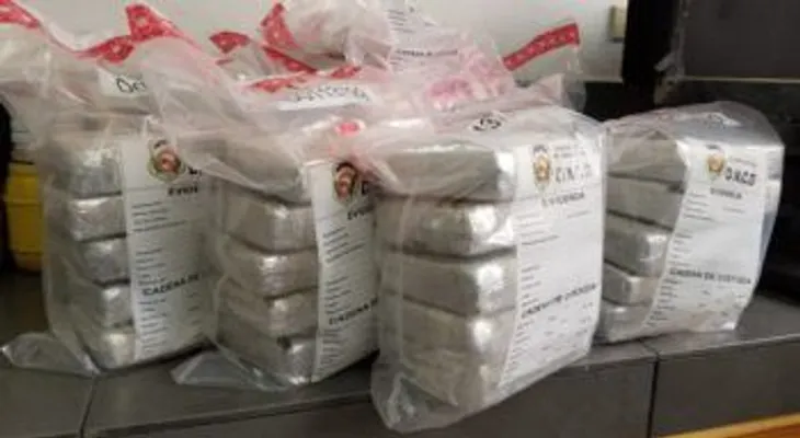 Ocupan 36 kilos de cocaína en aeropuerto de Punta Cana, Las Américas y el puerto de Santo Domingo 