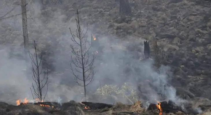 Controlan incendio forestal en Valle Nuevo tras 36 horas de labores