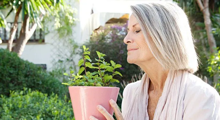 4 hierbas que protegen del alzheimer, depresión y ansiedad