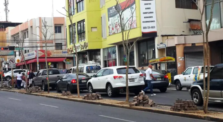 Critica siembra de árboles  en la avenida  Las Carreras