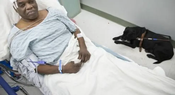 Un perro salta a las vías del metro para intentar ayudar a su amo invidente