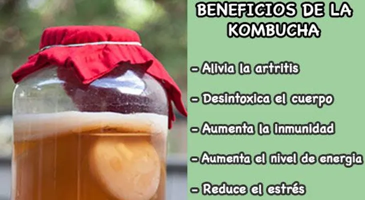 La kombucha previene el ENVEJECIMIENTO: 6 propiedades curativas que no te puedes perder