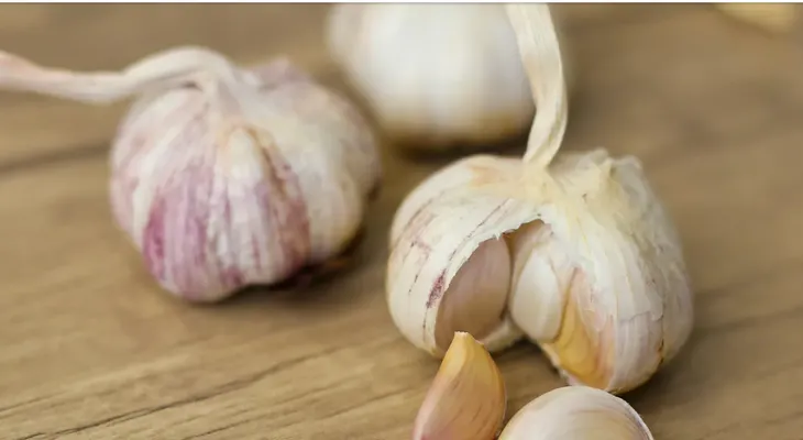 Cinco claves para cultivar ajos con éxito en casa