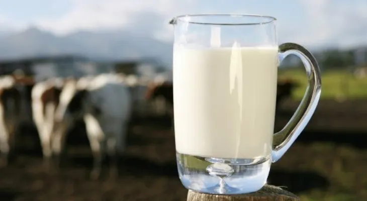 La leche y las carnes orgánicas tienen 50% más de ácidos grasos que Omega 3