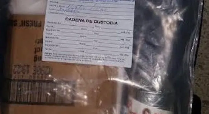 Frustran envíos de cocaína en latas de guadules y toners por el Imposdom