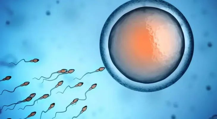 Nace primer bebé del mundo concebido con un nuevo método de fertilidad desarrollado por científicos argentinos