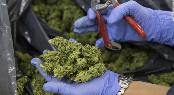 Aumenta en un 133% el número de niños por intoxicación con marihuana
