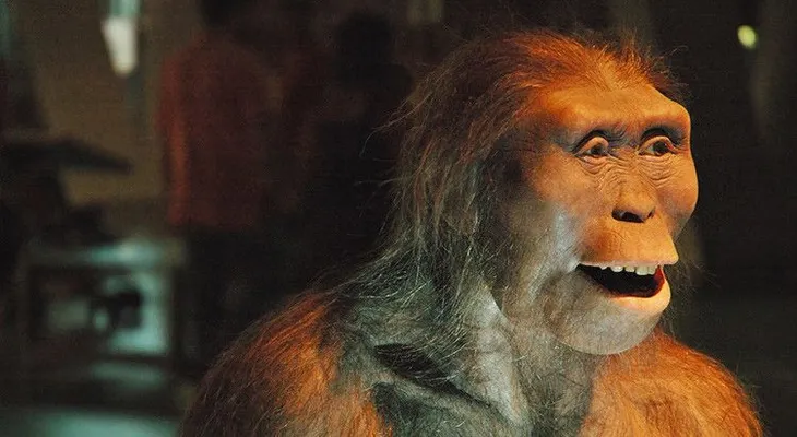 Logran determinar cómo murió la "madre de la humanidad"