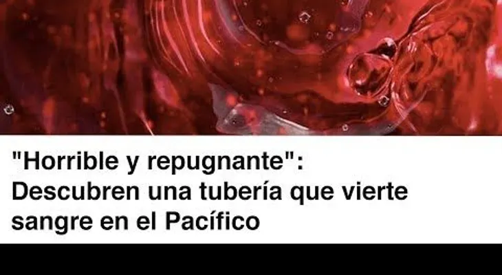 "Horrible y repugnante": Descubren una tubería que vierte sangre en el Pacífico 