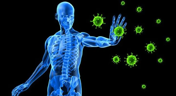 Descubrimiento revela cómo subir tu sistema inmunológico en 72 horas