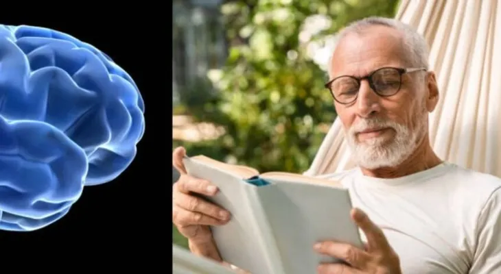 El cerebro humano rinde más entre los 55 y 60 años