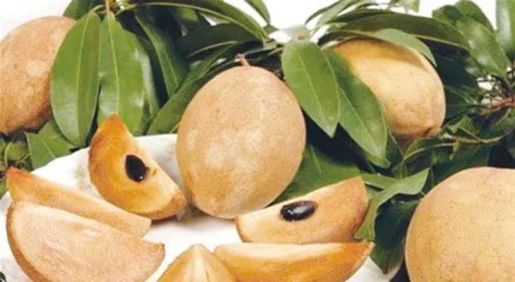 El níspero y sus múltiples propiedades: Filetes de pollo con crema de nísperos